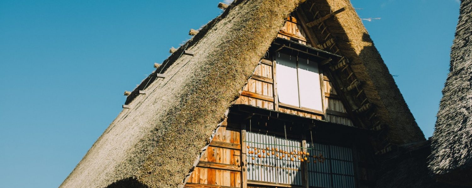 Het belang van rieten dak onderhoud